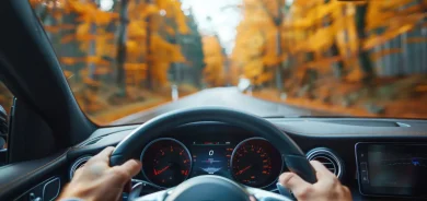 close up hands on steering wheel while driving in the forest